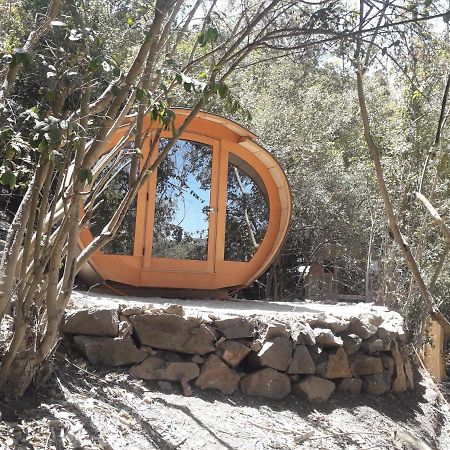 Biosfera Lodge Olmué المظهر الخارجي الصورة