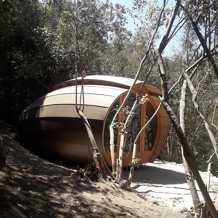 Biosfera Lodge Olmué المظهر الخارجي الصورة