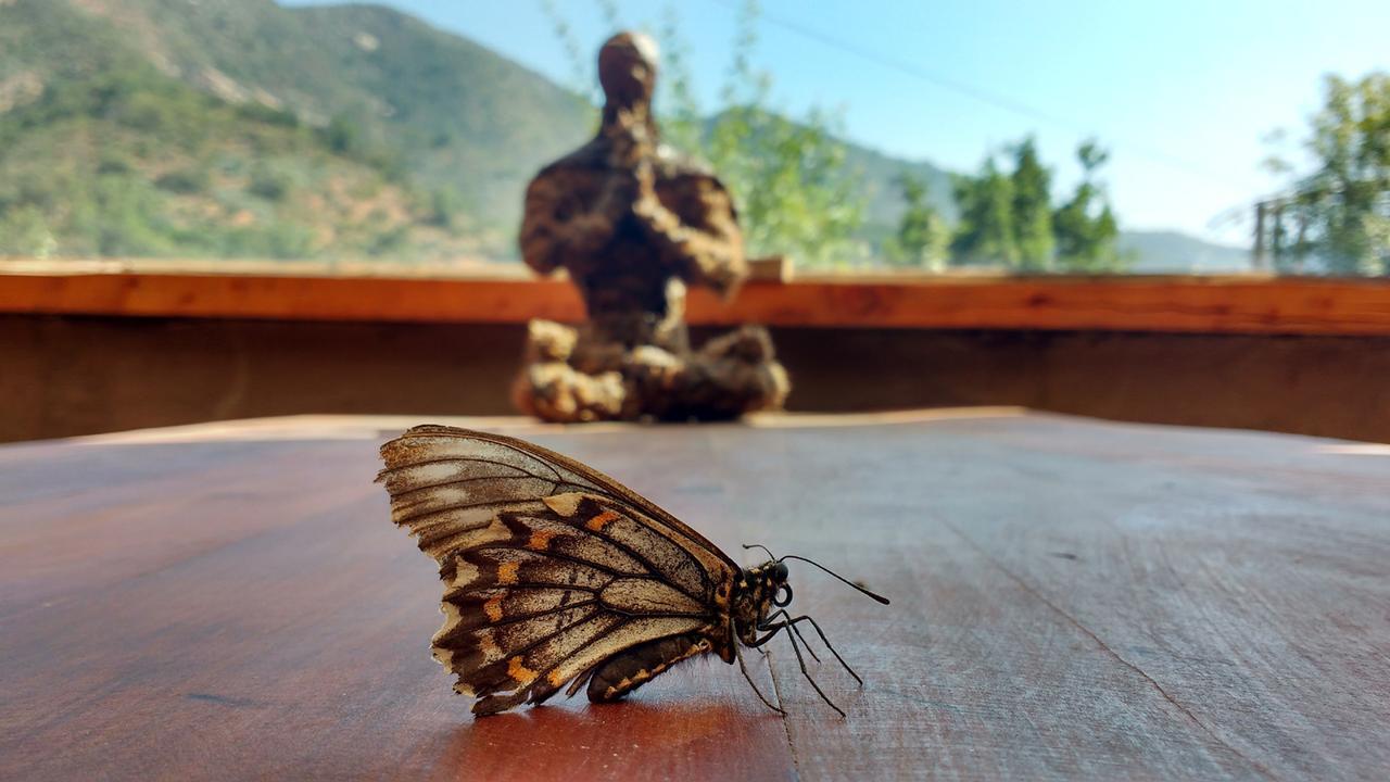 Biosfera Lodge Olmué المظهر الخارجي الصورة