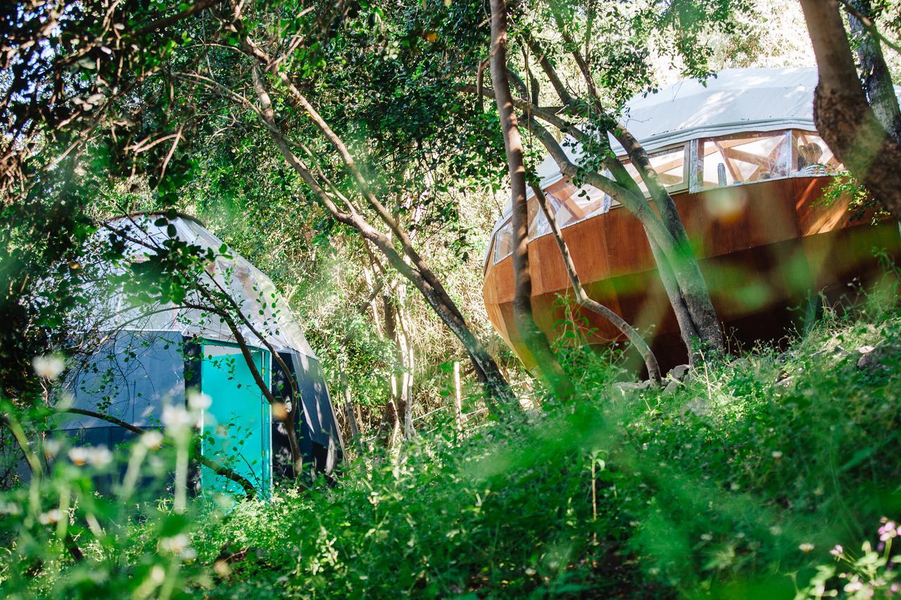 Biosfera Lodge Olmué المظهر الخارجي الصورة